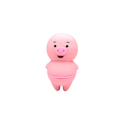 Mr. Pig