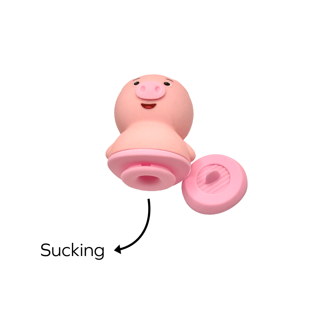 Mr. Pig