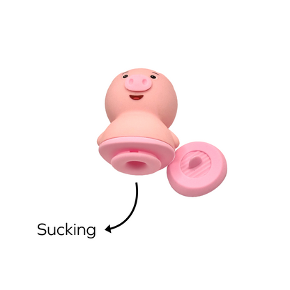 Mr. Pig